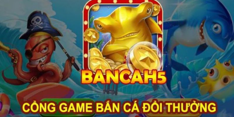Giới Thiệu Đôi Nét Về Nhà Cái BancaH5